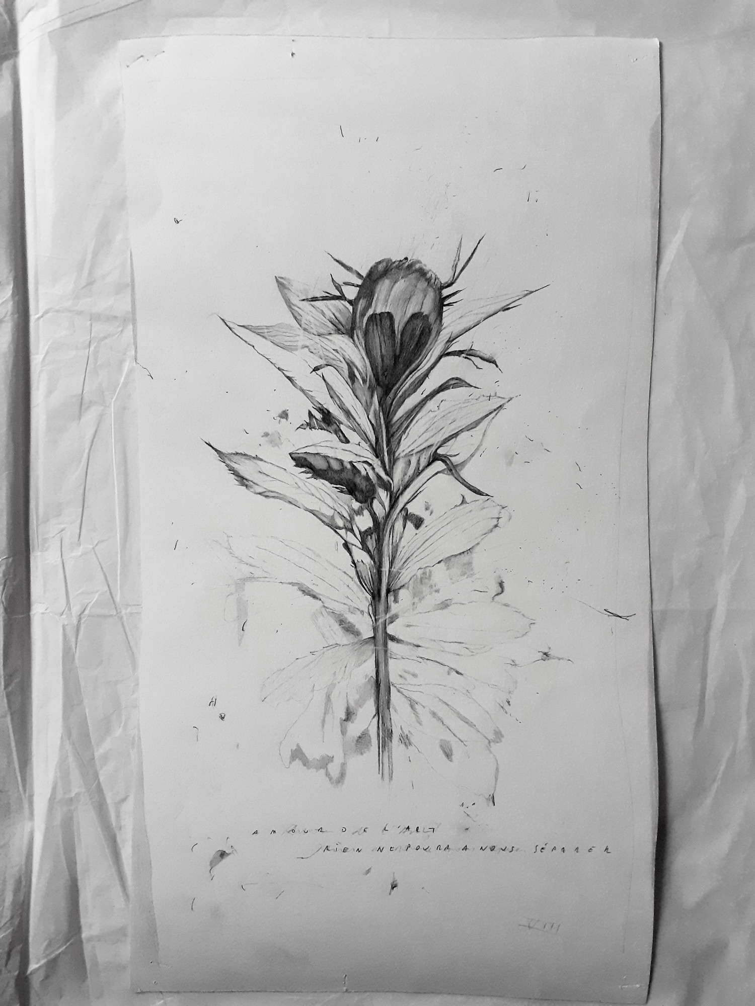 Acanthe IV, Amour de l’Art rien ne pourra nous séparer